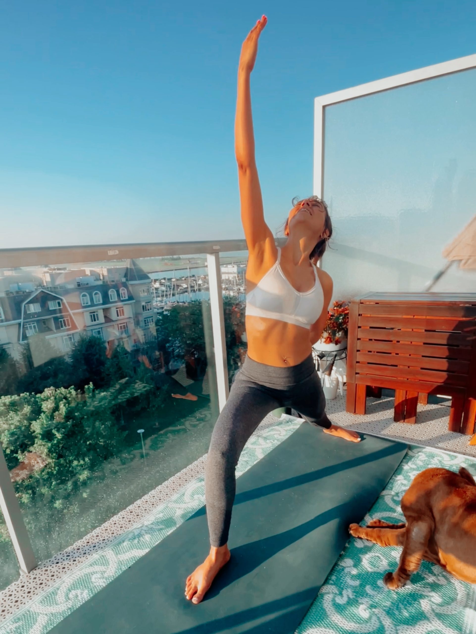 The 8 Limbs of Yoga: A Comprehensive Guide to Holistic Wellness