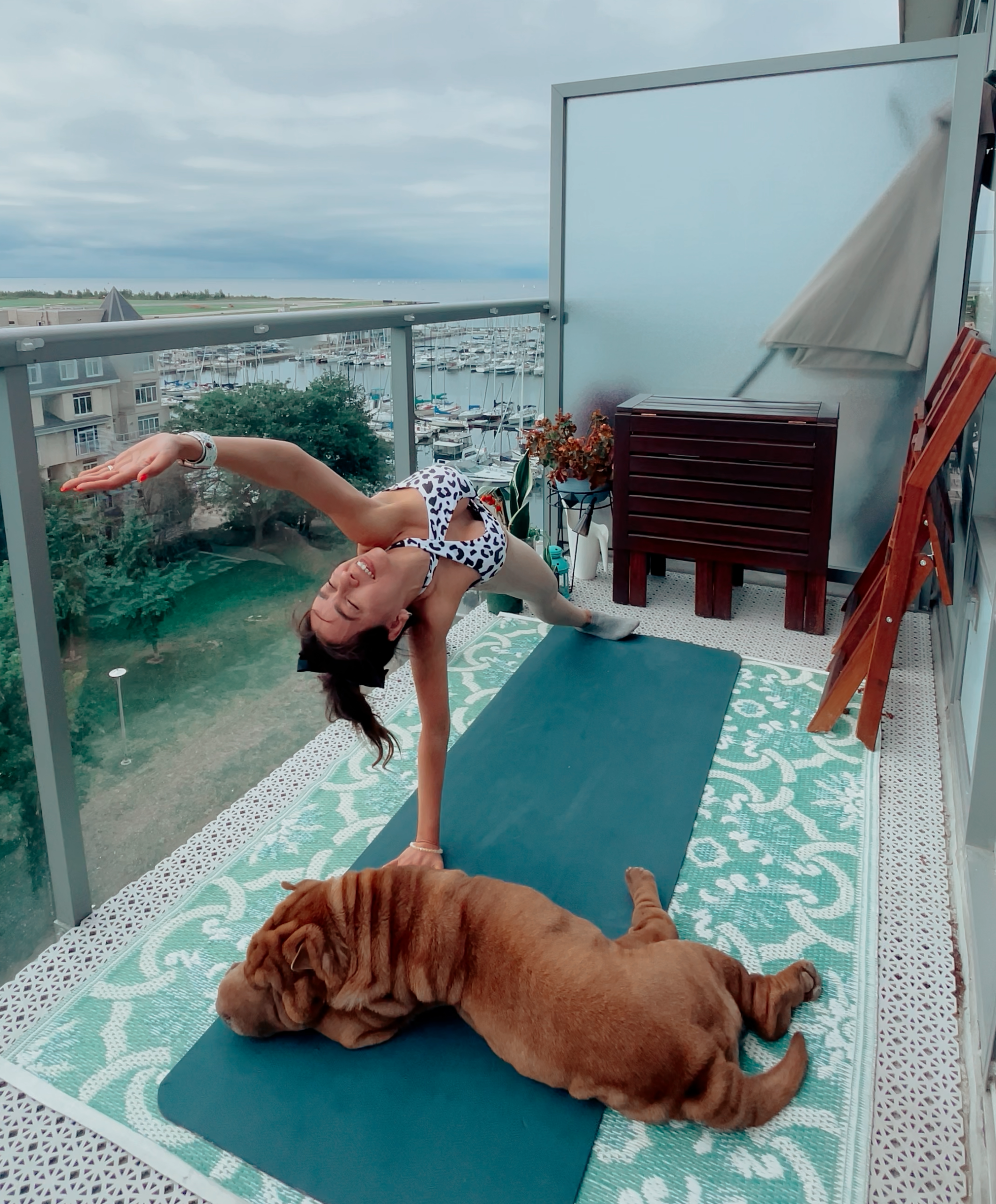 Learn the Main Yoga Poses For Beginners ????‍♀️????‍♀️