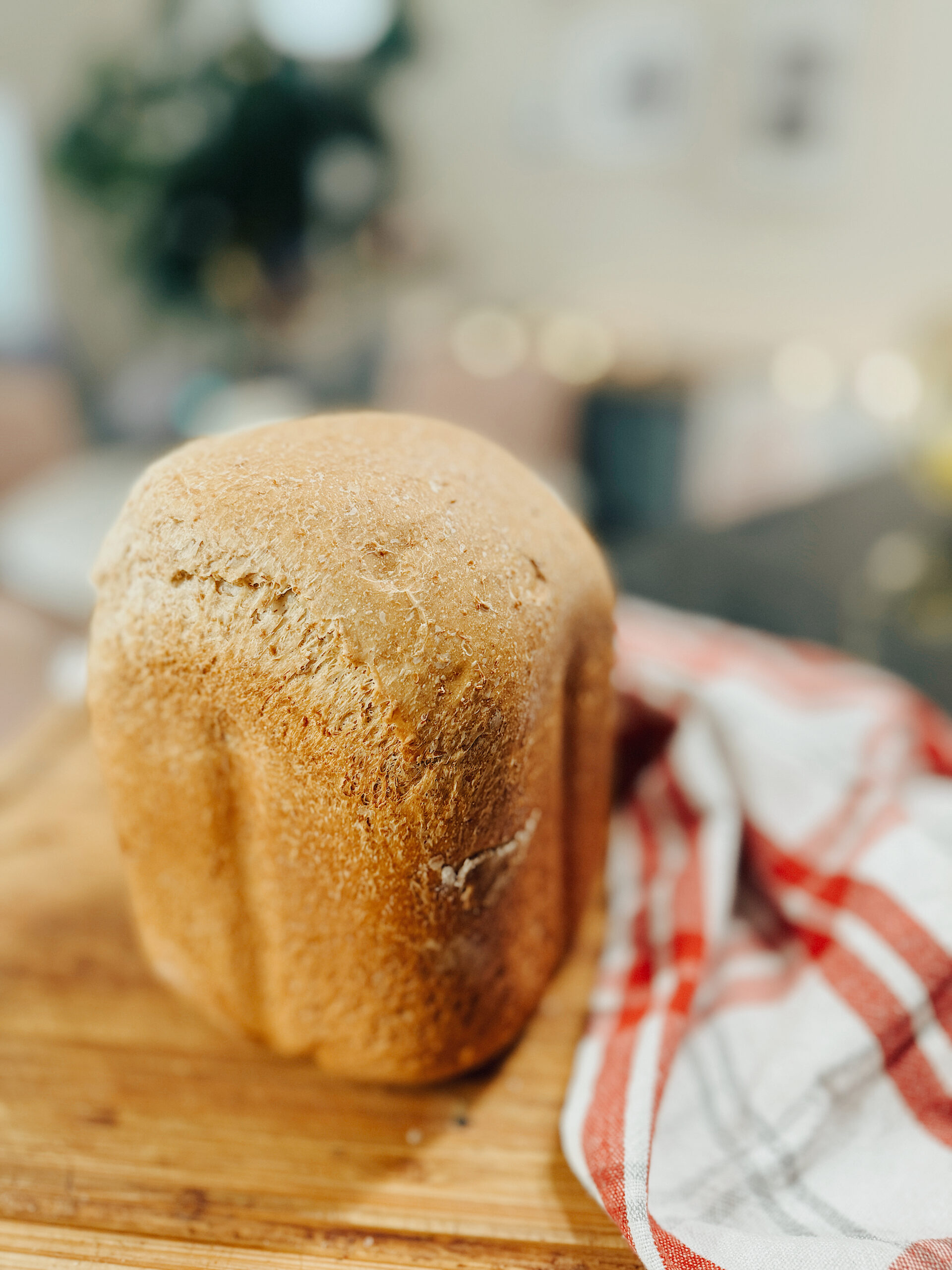 Wholesome Warmth: Baking a Whole Wheat Bread at Home