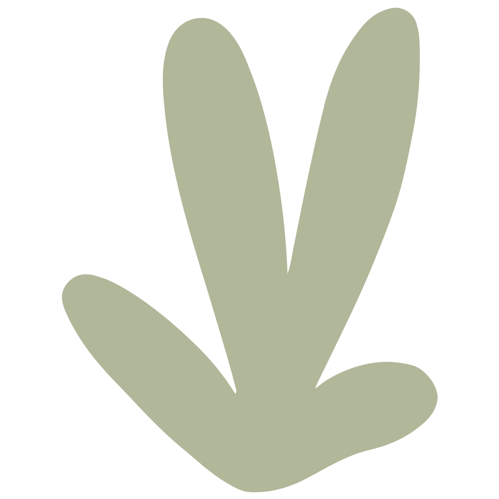 LucianaCouto.com