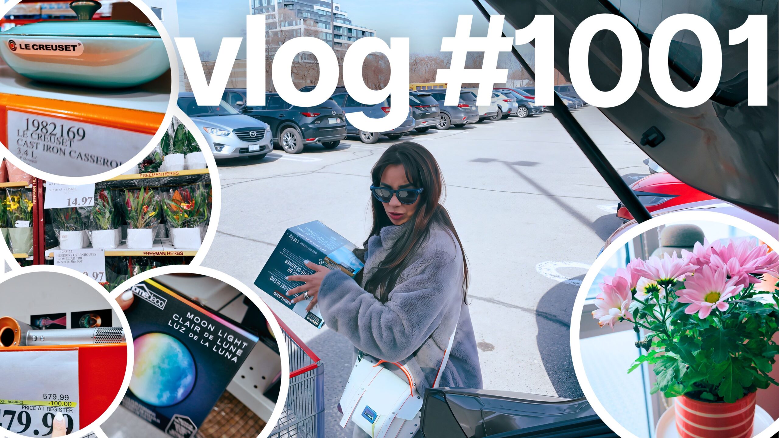 Passe o dia comigo: Compras no Costco, Dollarama e organização da casa